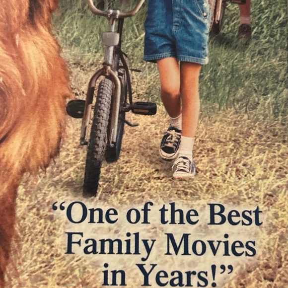 Because of Winn-Dixie (DVD, 2005) PG movie - Picture 4 of 7